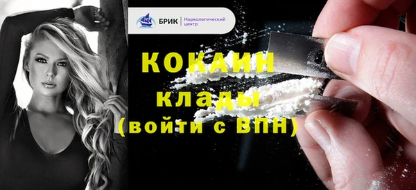 шишки Армянск